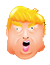 Trump Face